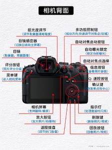 单反摄影新手必读：相机功能基础知识-大梦甜 | 学习有捷径，梦想会很甜！